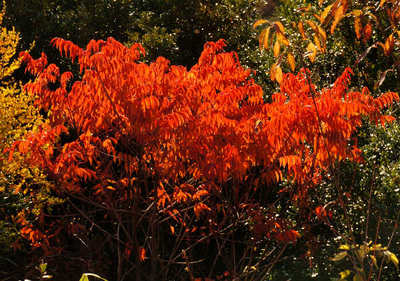 121125-17.jpg