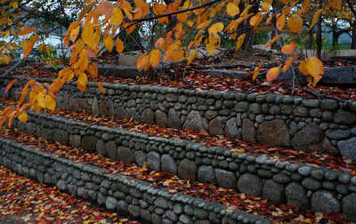 121125-18.jpg