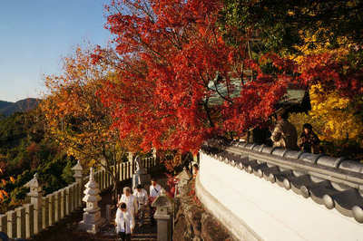 121125-19.jpg
