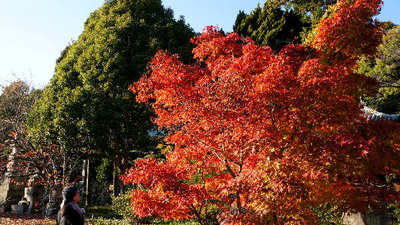 121125-24.jpg