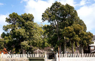 130211-08.jpg