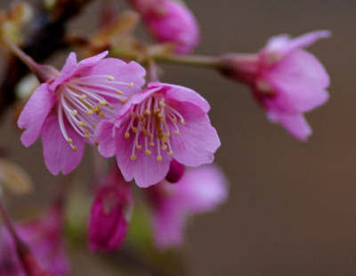 130302-01.jpg