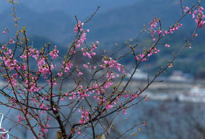 130302-03.jpg