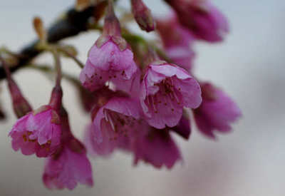 130302-04.jpg