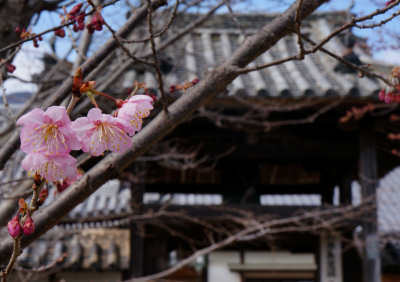 130303-07.jpg