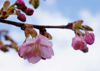 130303-09.jpg