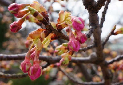 130303-10.jpg
