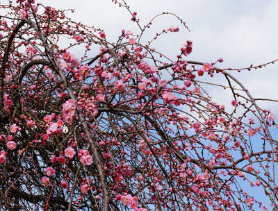 130303-11.jpg