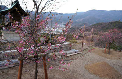 130303-16.jpg