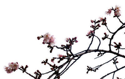 130303-37.jpg