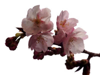 130303-38.jpg