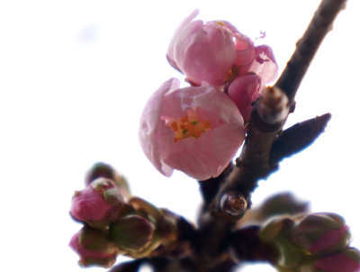 130303-39.jpg