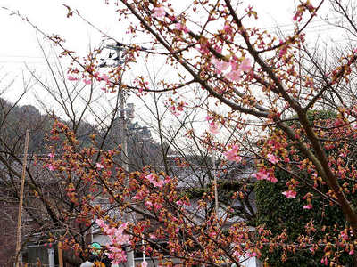 130303-40.jpg