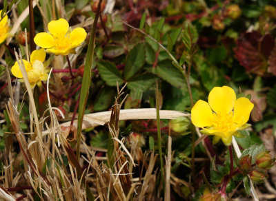 130318-02.jpg
