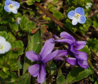 130318-04.jpg