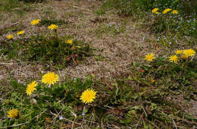 130318-05.jpg