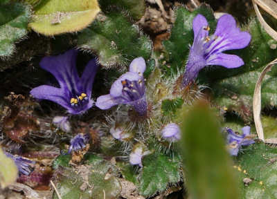 130318-06.jpg