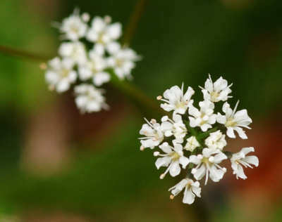 130318-07.jpg