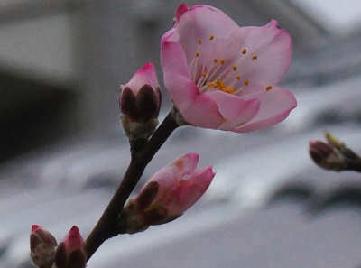130318-10.jpg