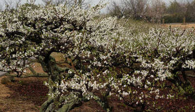 130320-04.jpg