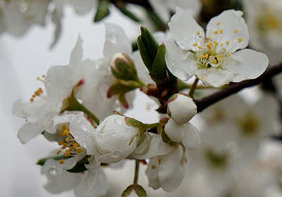 130320-05.jpg