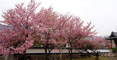 130320-06.jpg
