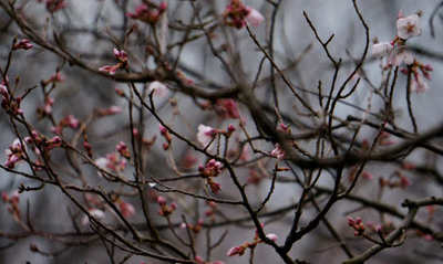 130320-08.jpg