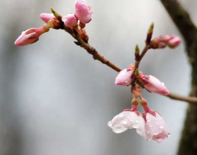 130320-09.jpg