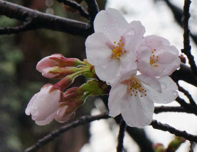 130320-10.jpg