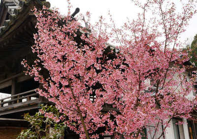130320-11.jpg