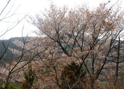 130324-10.jpg