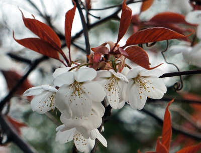 130324-12.jpg