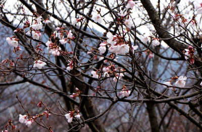 130324-13.jpg