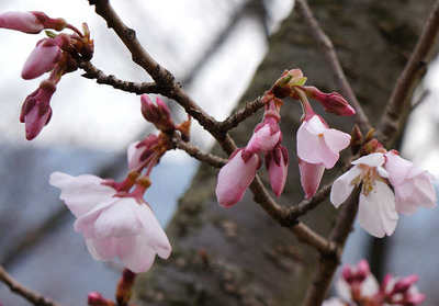 130324-14.jpg