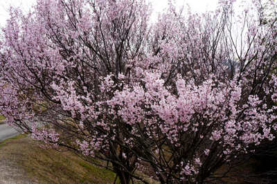 130324-15.jpg