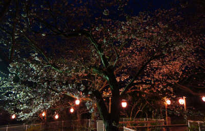 130329-01.jpg