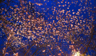 130329-03.jpg