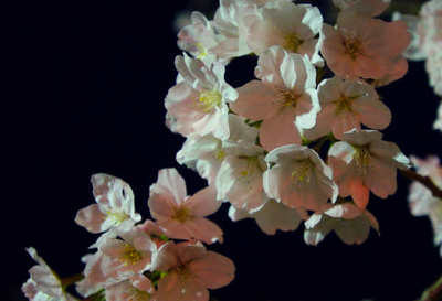 130329-06.jpg