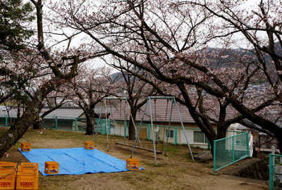 130331-02.jpg