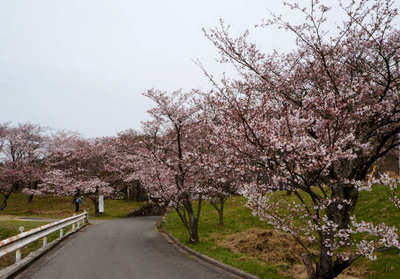130331-03.jpg