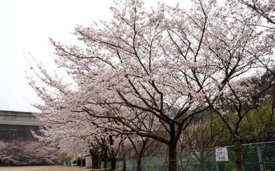 130331-06.jpg