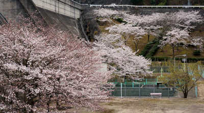 130331-07.jpg