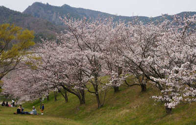 130331-09.jpg