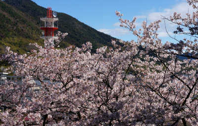 130407-06.jpg