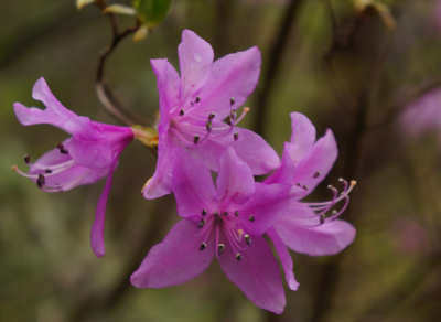 130407-08.jpg