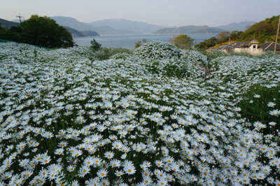 130506-20.jpg