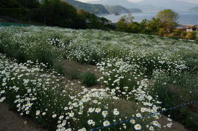 130506-22.jpg