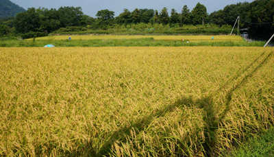 130803-42.jpg