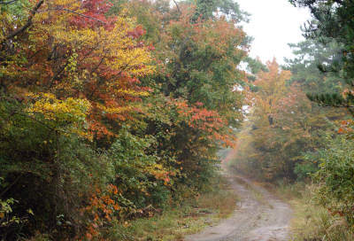 131102-30.jpg