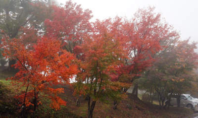 131102-31.jpg